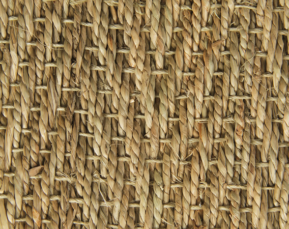 Seagrass Carpet